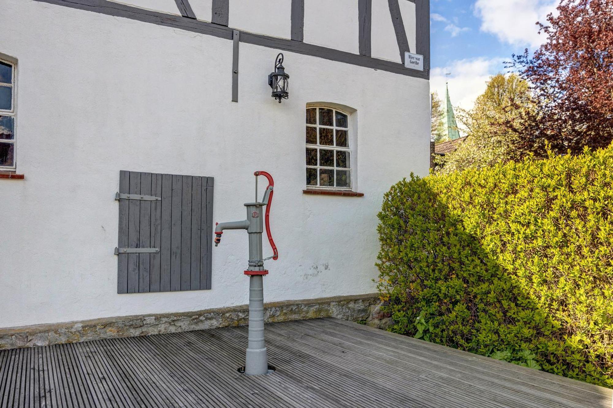 Weserberglandblumen Bad Pyrmont